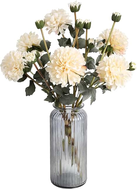 Hoa thược dược